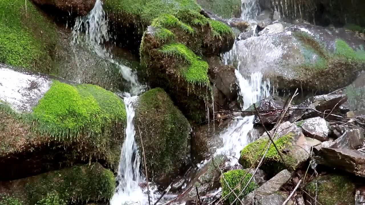 苔藓谷美丽的瀑布视频素材