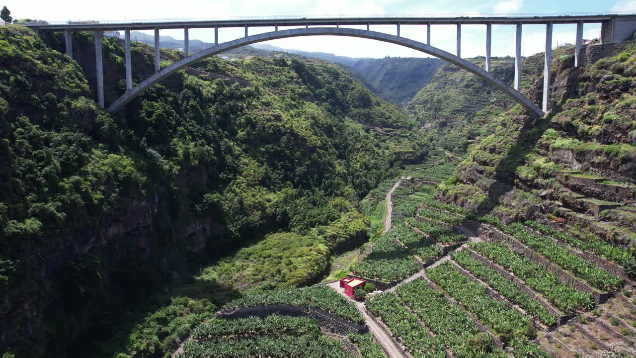 大桥和香蕉种植园鸟瞰图视频素材