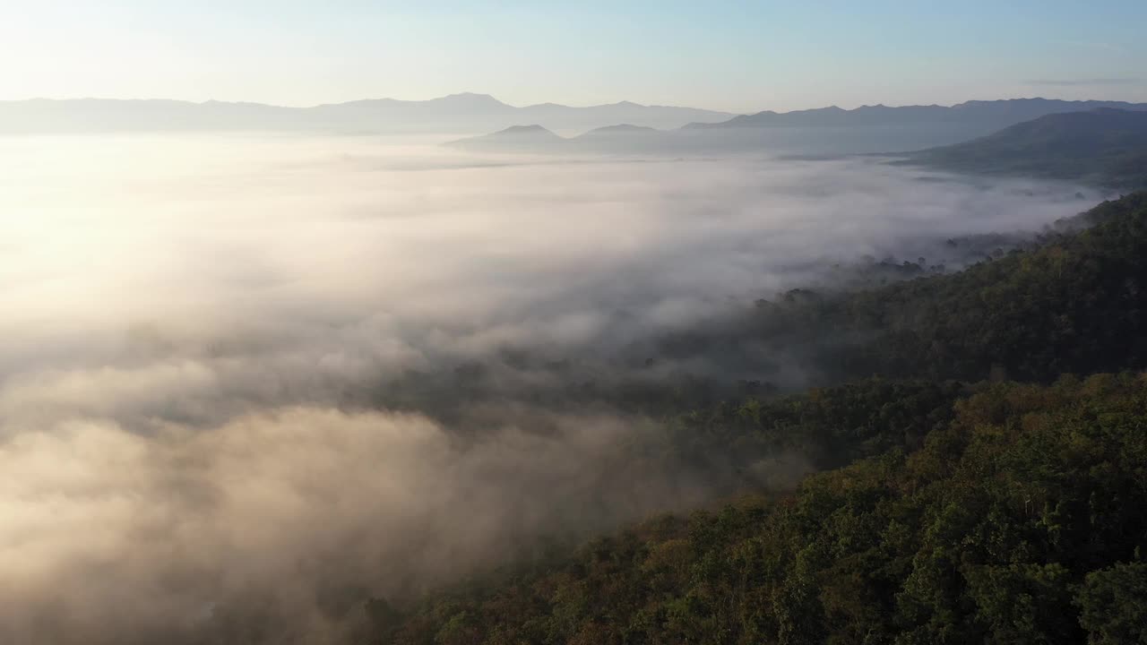 无人机拍摄的低悬云在森林和山的背景视频素材