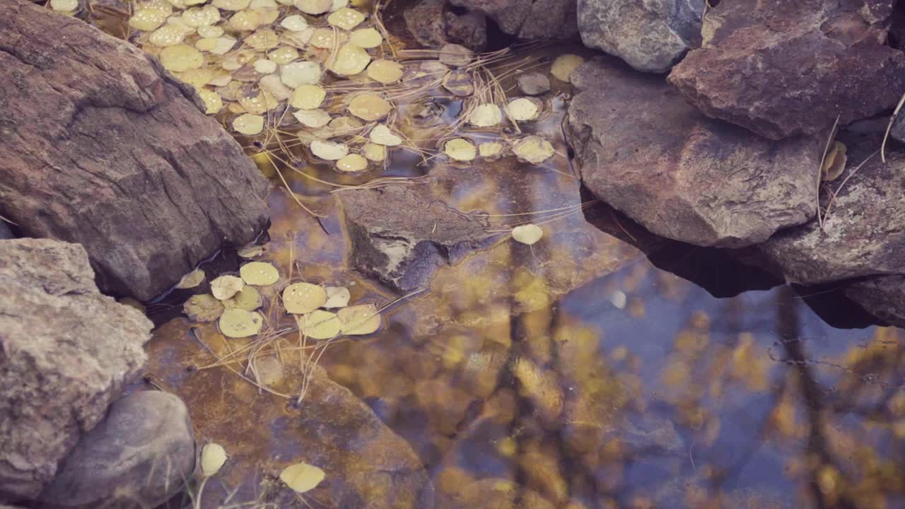 倒映着黄叶和石头的湖水，特写镜头视频素材