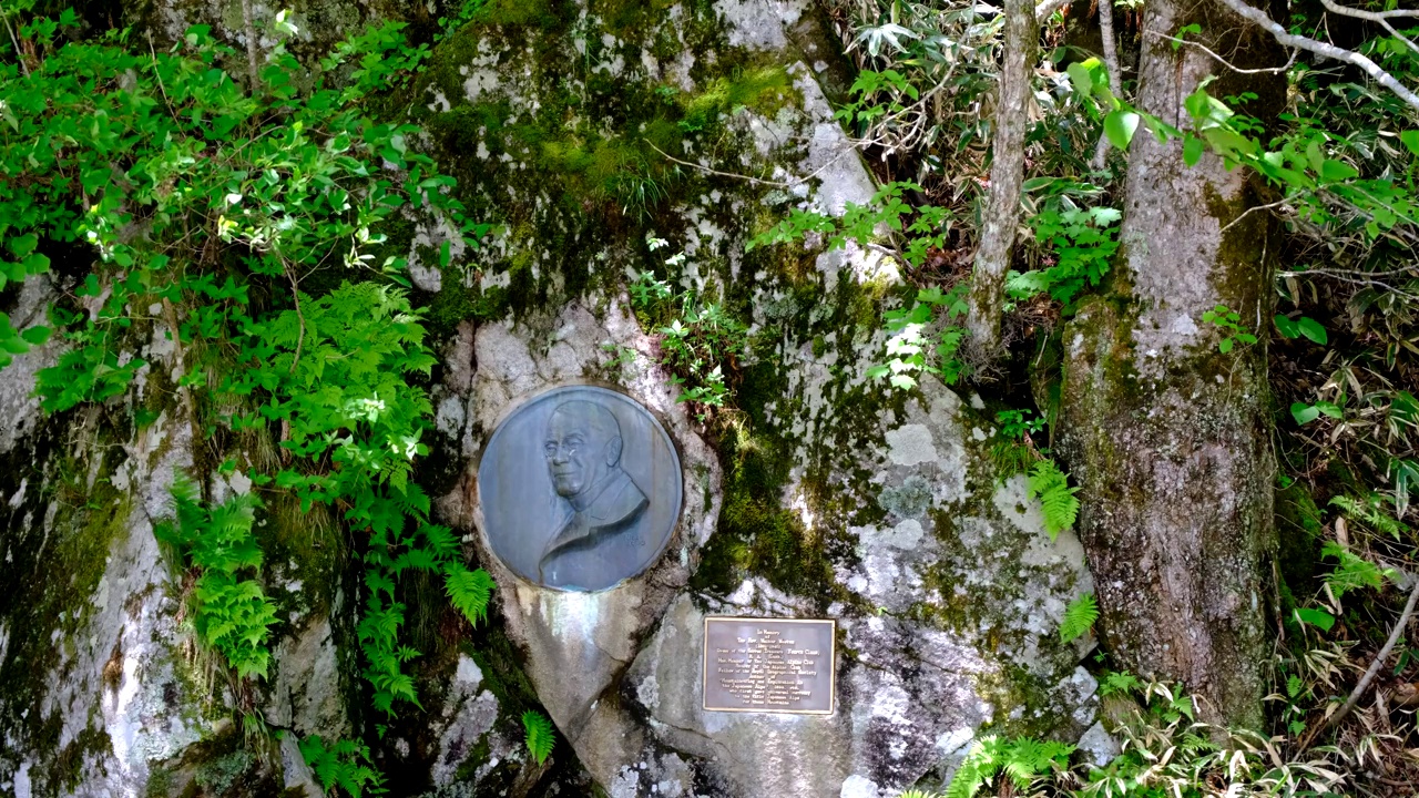 韦斯顿纪念碑，特写，上高知县，6月初视频素材