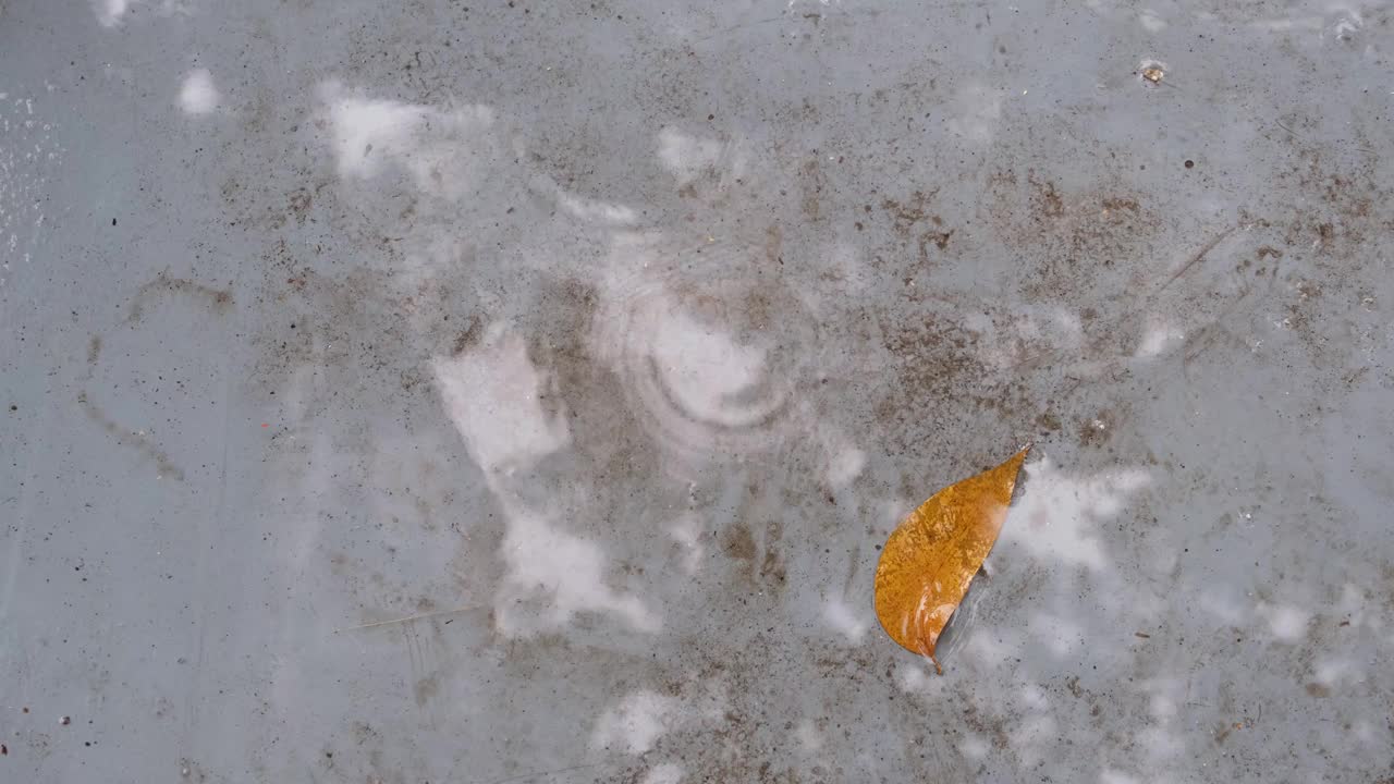 大雨时雨滴落在路上视频素材