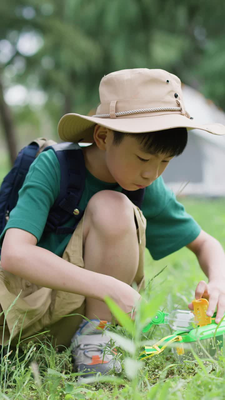 图为，一名亚洲小学生正在户外观察昆虫视频素材