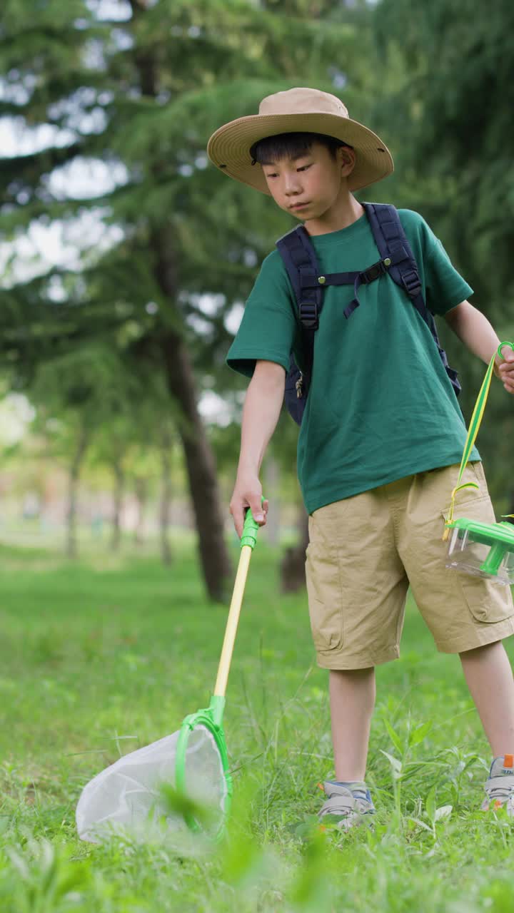 一名亚洲小学生正在森林里捉昆虫视频素材