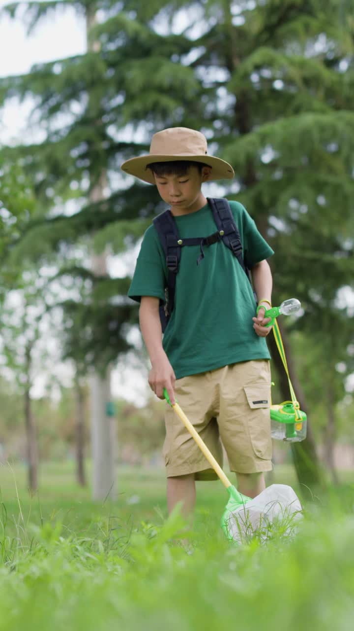 一个亚洲男孩正在森林里捉昆虫视频素材