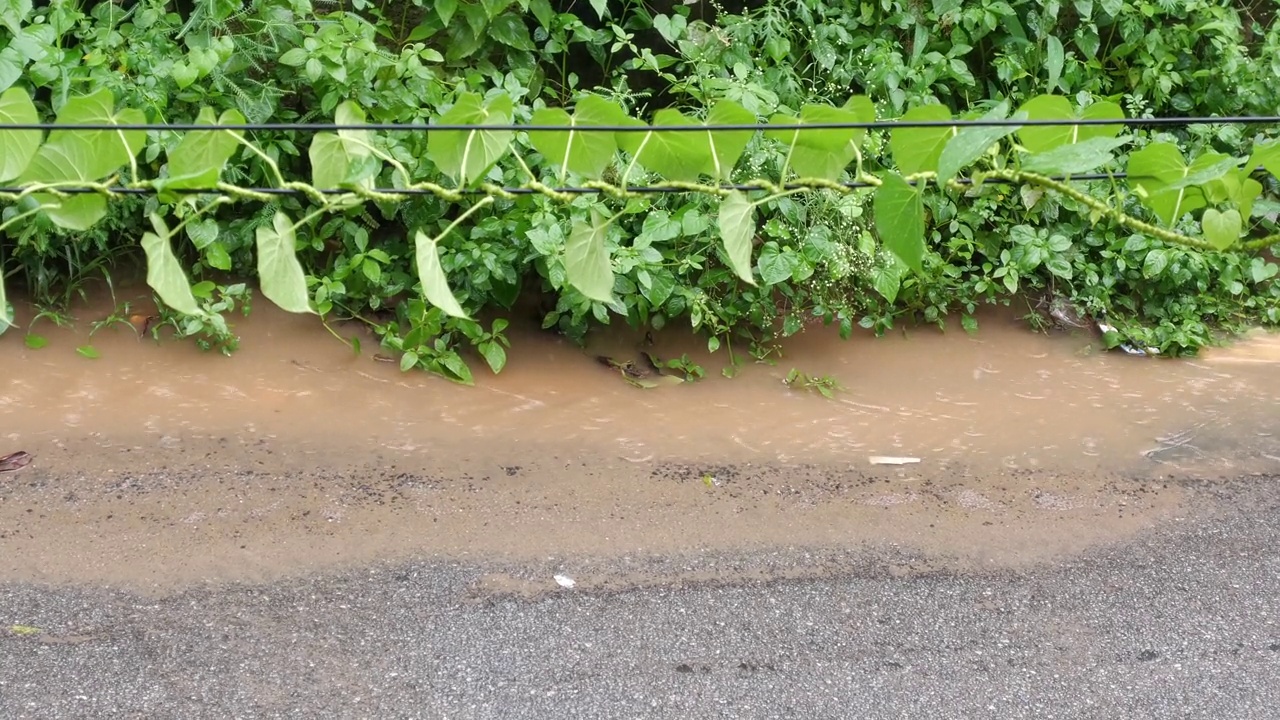 季风雨视频素材