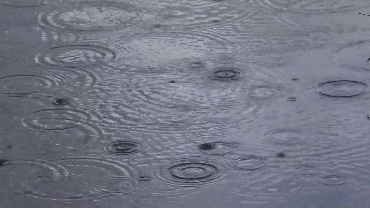 雨水背景雨波纹循环天气视频下载