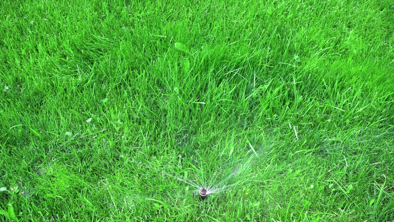 夏天在花园里。自动浇灌浇灌绿色草坪视频素材