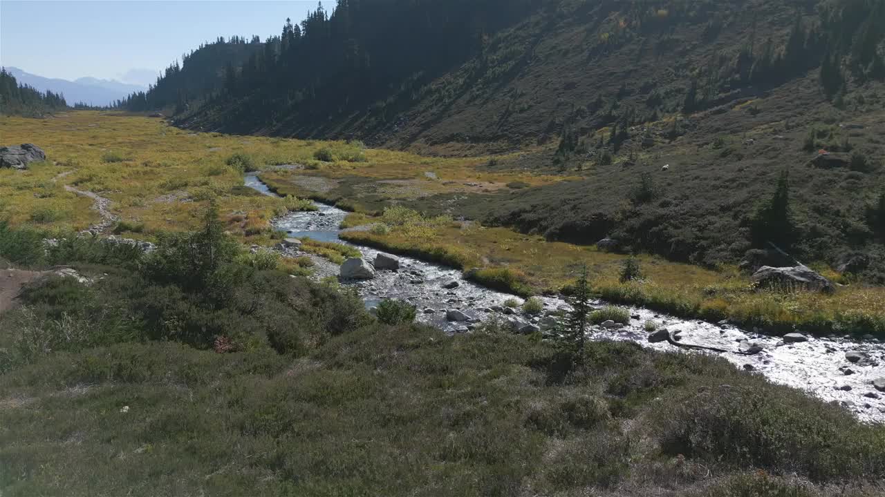 加拿大山地景观中的河流和瀑布与绿树。视频素材