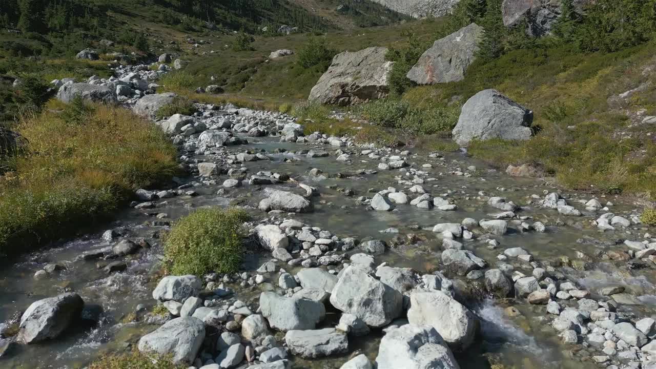 加拿大山地景观中的河流和瀑布与绿树。视频素材