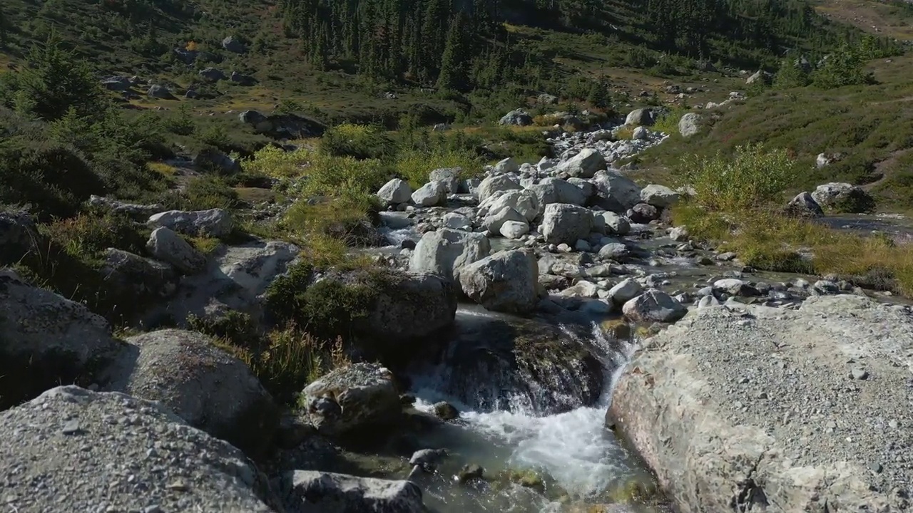 加拿大山地景观中的河流和瀑布与绿树。视频素材