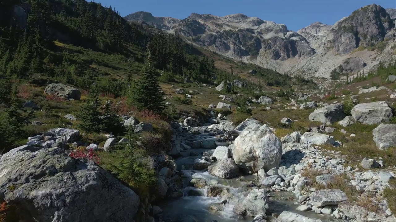 加拿大山地景观中的河流和瀑布与绿树。视频素材