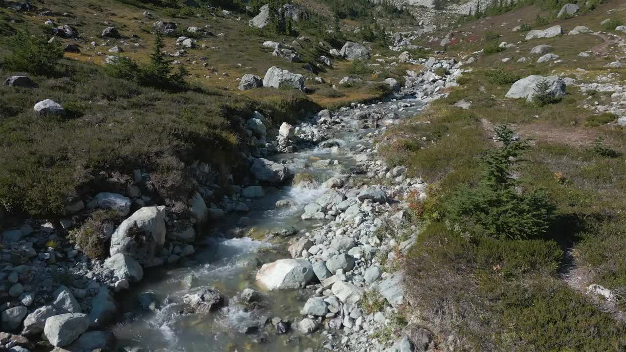 加拿大山地景观中的河流和瀑布与绿树。视频素材