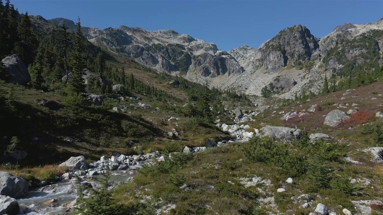 加拿大山地景观中的河流和瀑布与绿树。视频素材