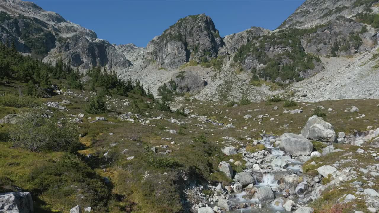 加拿大山地景观中的河流和瀑布与绿树。视频素材