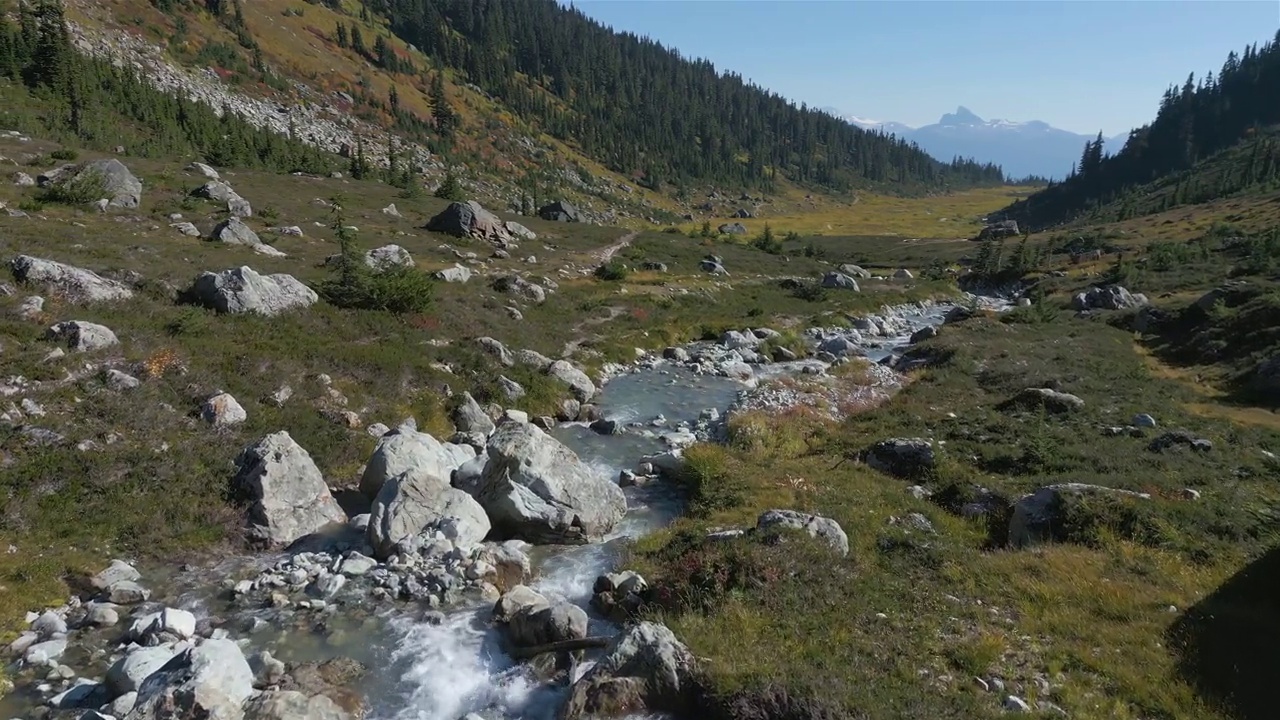 加拿大山地景观中的河流和瀑布与绿树。视频素材