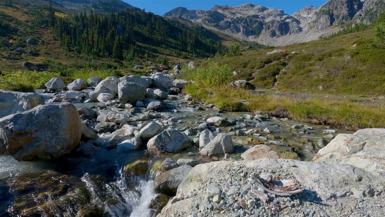 加拿大山地景观中的河流。阳光明媚的秋天视频素材