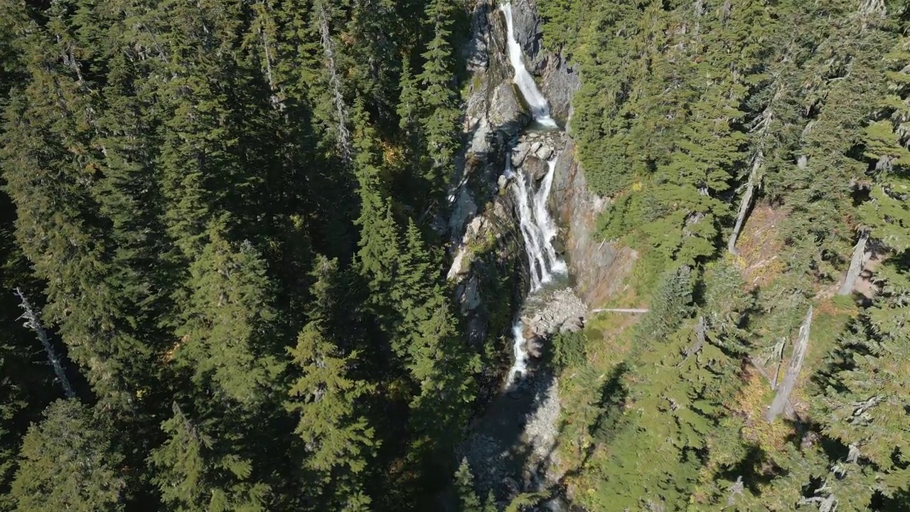 加拿大山地景观中的河流和瀑布与绿树。视频素材