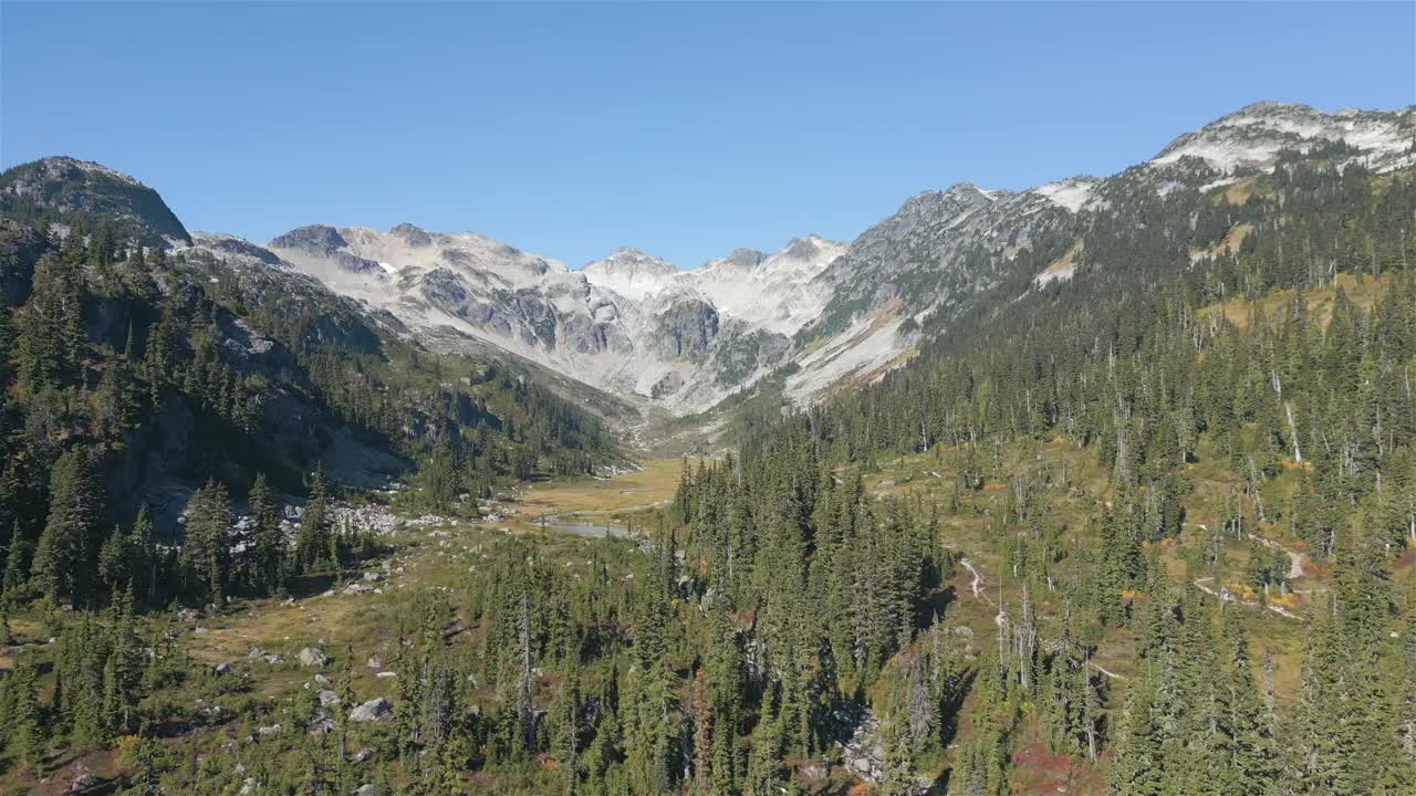 加拿大山地景观中的河流和瀑布与绿树。视频素材