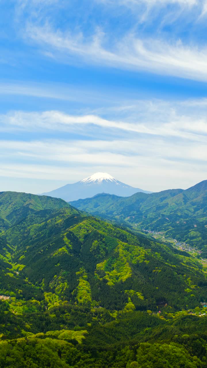 五月清新的绿色植物和富士山的航拍镜头视频素材