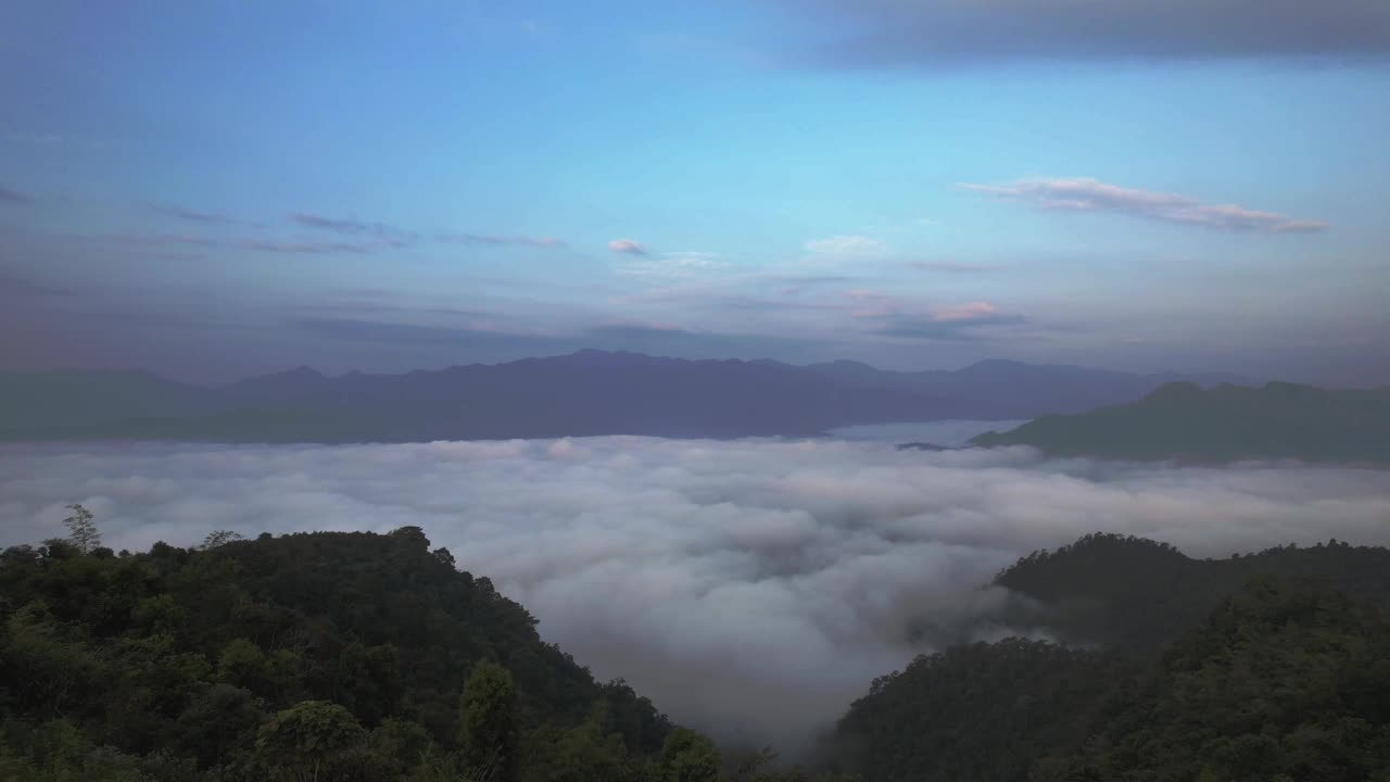 航拍:森林树木的顶部和笼罩在雾中的高大的黑暗山脉视频下载