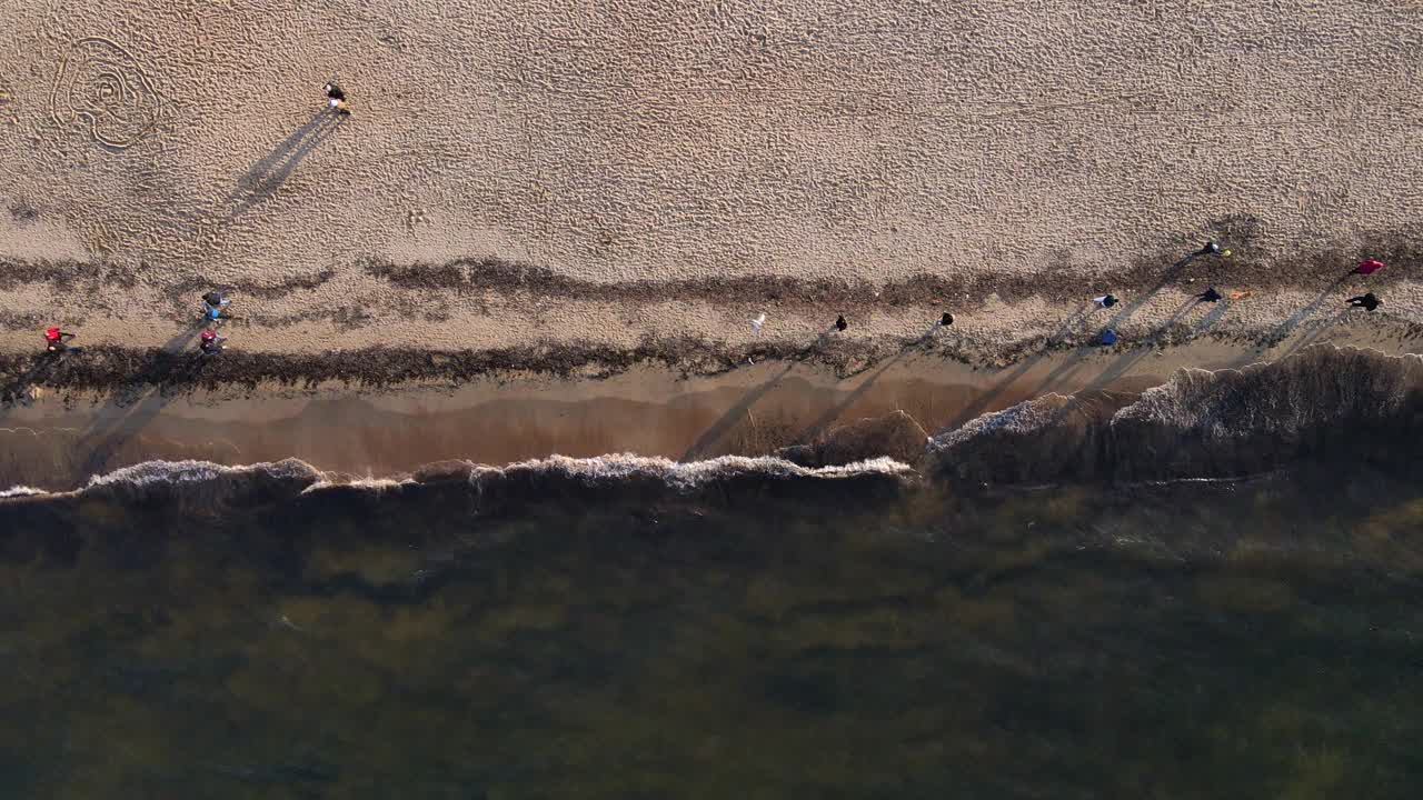 美丽的海岸线，波罗的海和沙滩，俯视图视频素材