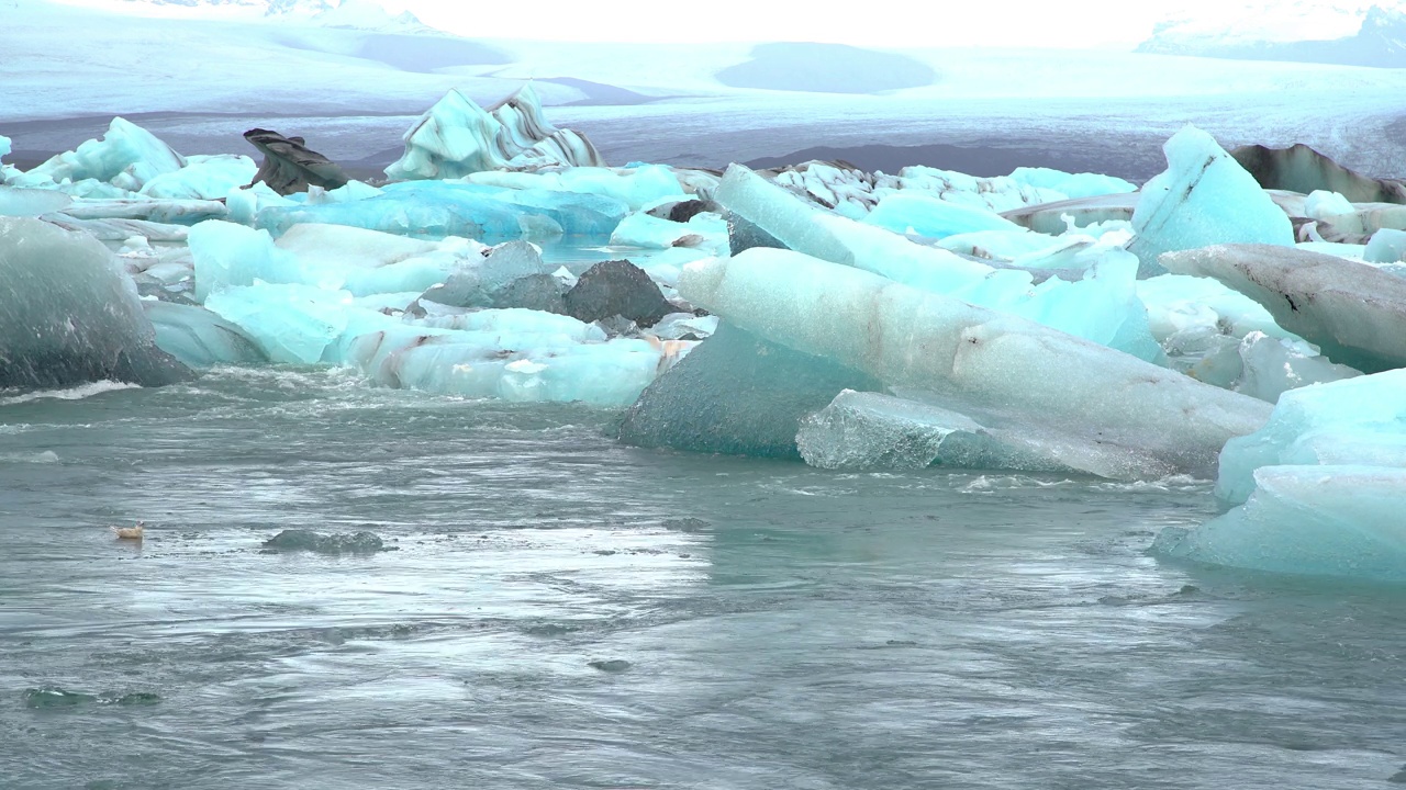 Jokulsarlon冰川泻湖，冰岛视频素材