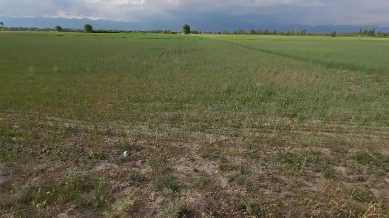 多云天空下田野草地上的路。汽车的观点视频素材