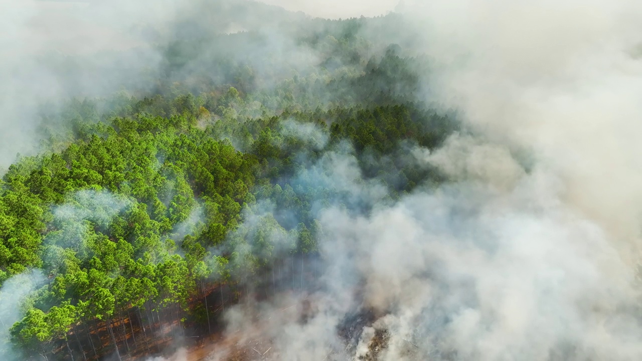 鸟瞰图:森林大火产生的白烟上升，污染了大气。自然灾害概念视频素材