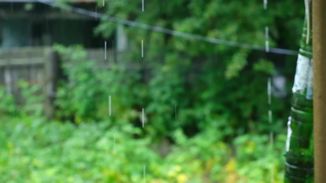 夏雨。雨点落在绿树的背景上。关注前景。视频素材