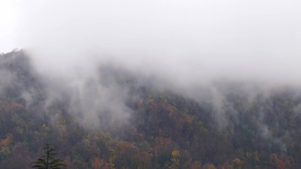 山顶有秋树和暴风云视频素材