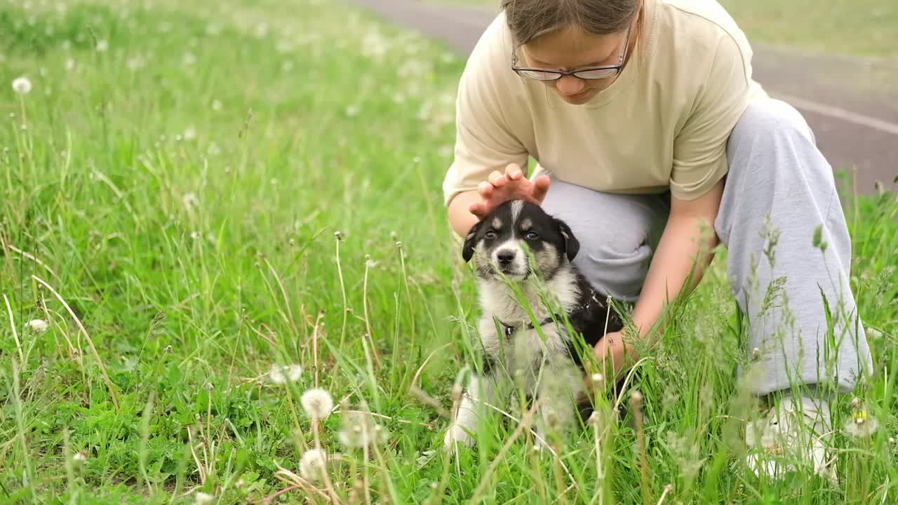 夏日里，一个十几岁的女孩正在公园里和她的宠物玩耍。女主人抚摸着一只黑白混血小狗。帮助流浪动物的理念视频下载