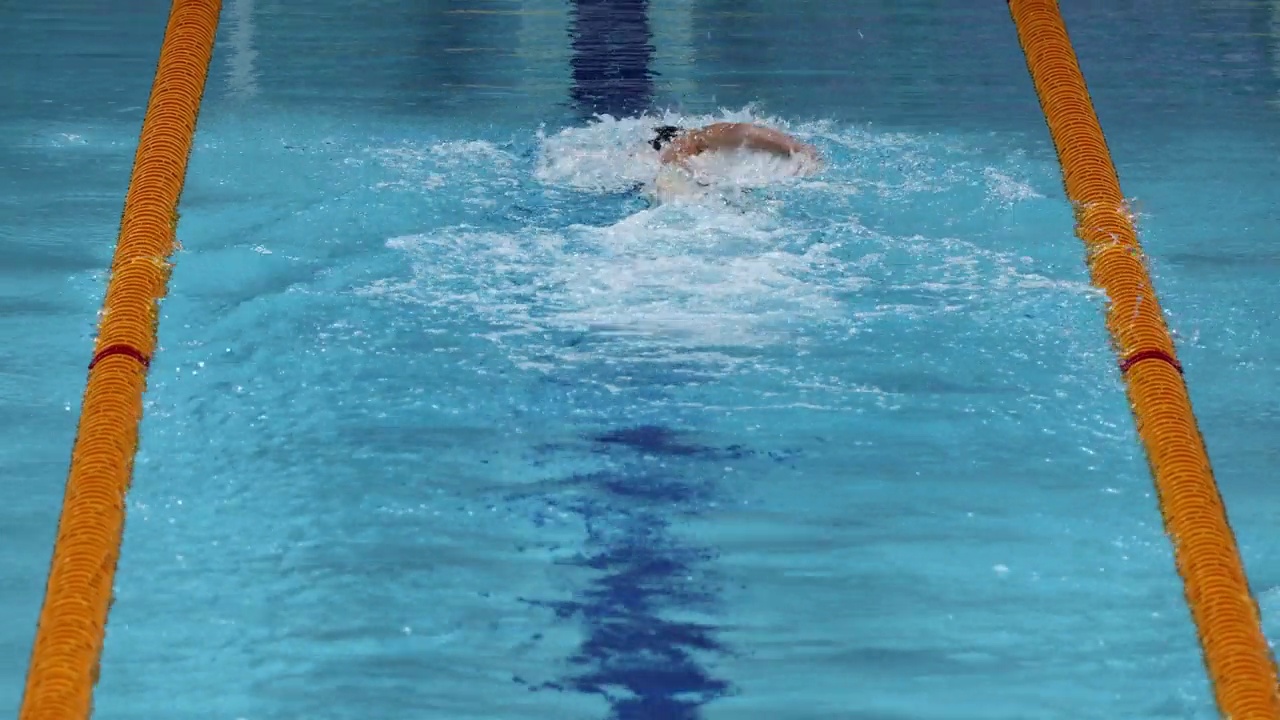 从后面捕捉的自由泳技术视频素材