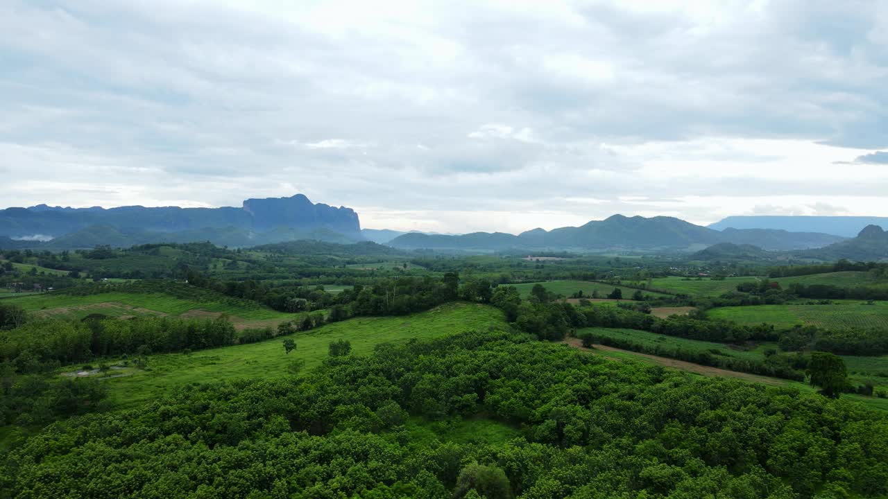 森林与许多山的背景。视频素材