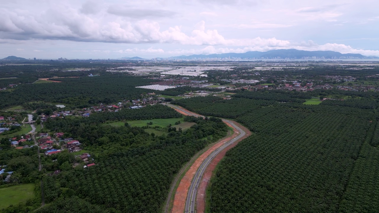 鸟瞰油棕种植园的新柏油路视频素材