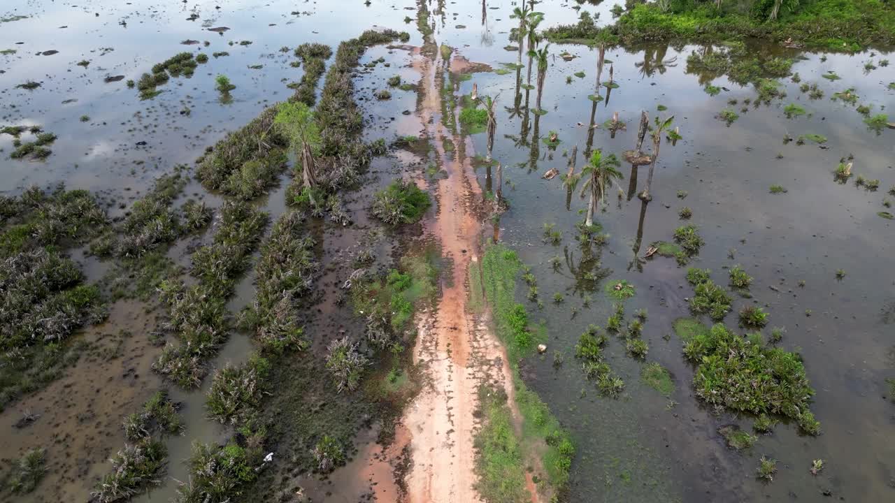 鸟瞰乡村小路和干棕榈树视频素材