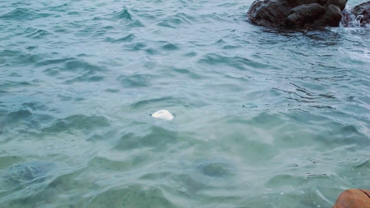 塑料板漂浮在海水中。海洋塑料污染对脆弱复杂的海洋生态系统构成威胁。塑料被海浪携带，杀死生物，导致地球死亡视频素材