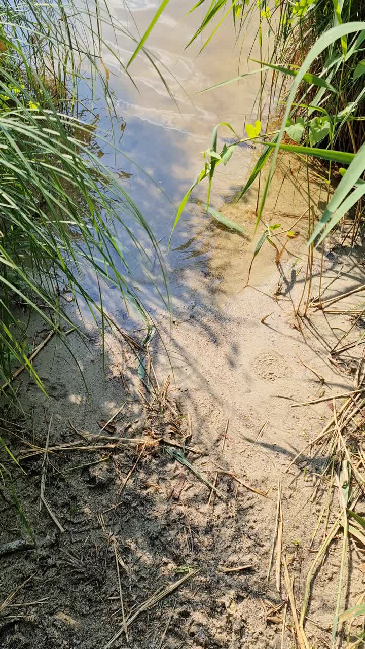 美丽的风景在一个湖与反射水面视频素材