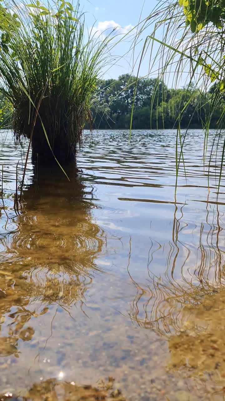 美丽的风景在一个湖与反射水面视频素材