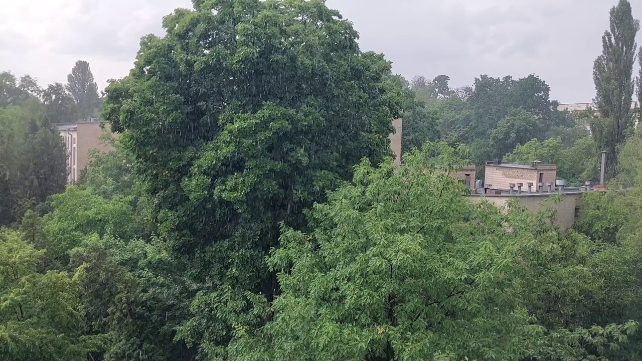 城市顶景下起了雨视频素材