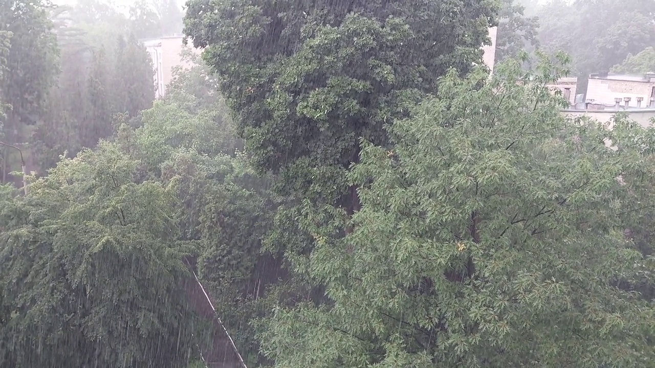 城市顶景下起了雨视频素材