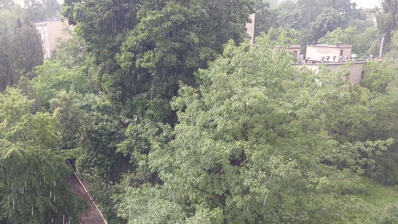 城市顶景下起了雨视频素材