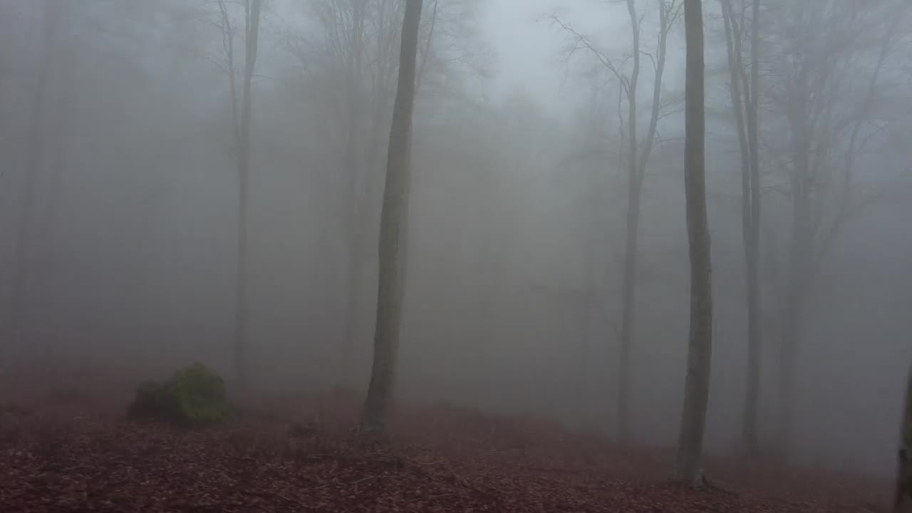 托斯卡纳，一个人走在迷雾缭绕的阿米亚塔山的树林里视频素材