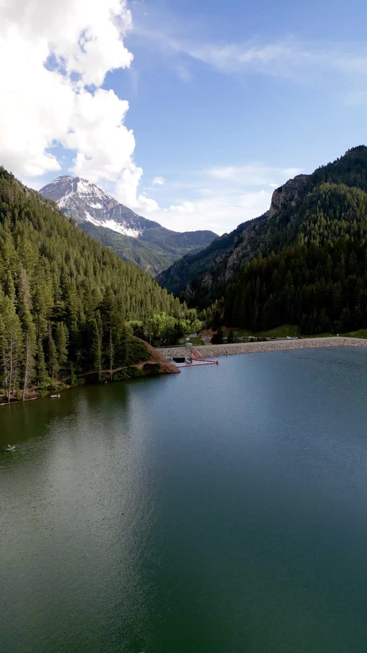 白天森林山丘之间湖泊的垂直视图视频素材