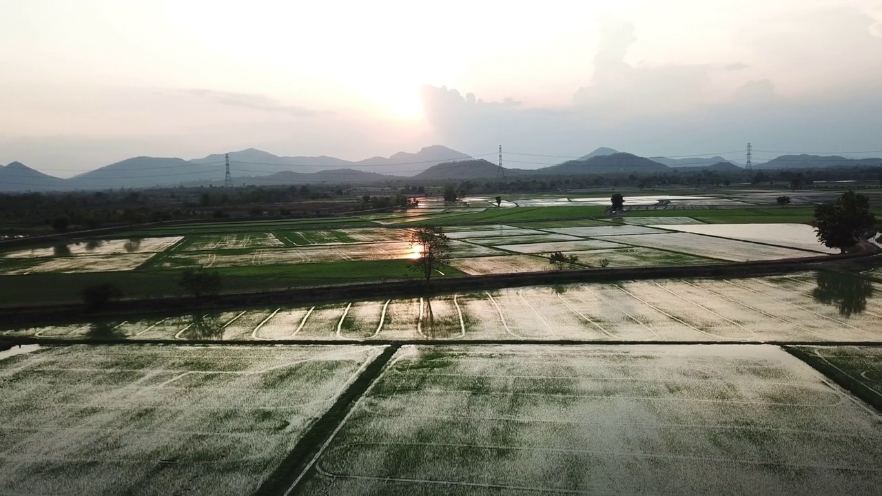 架空稻田视频素材