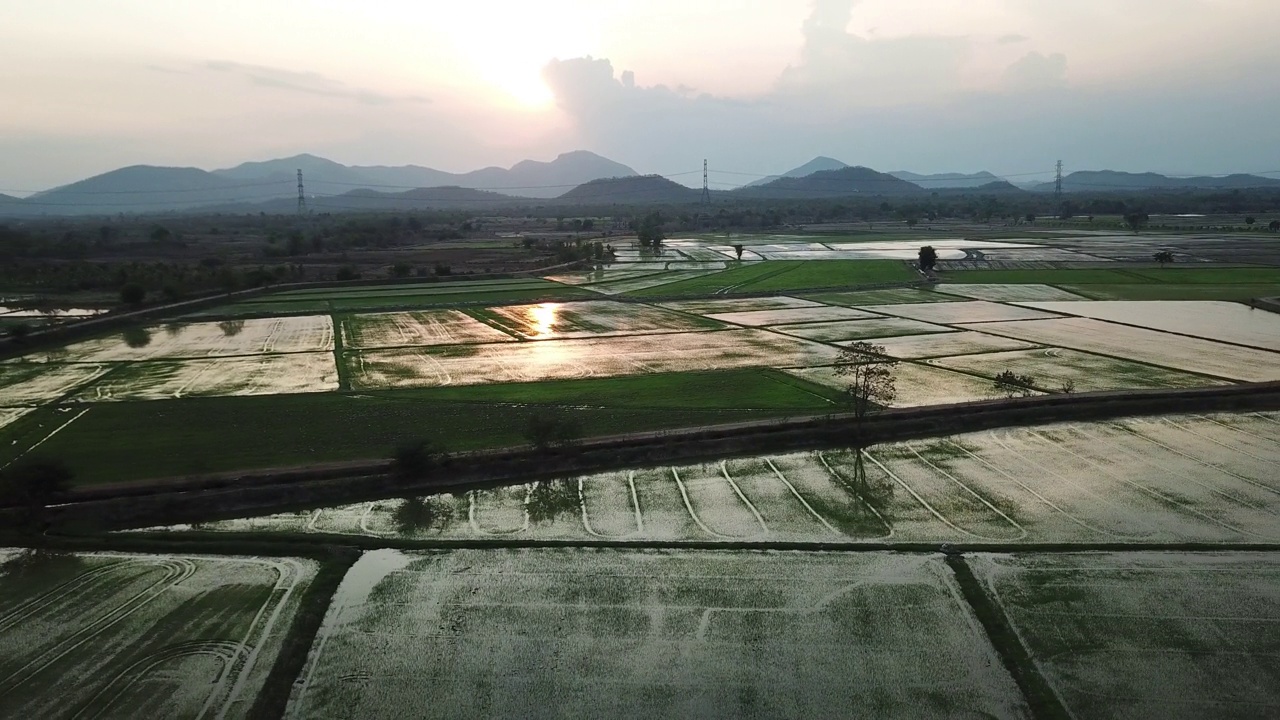 夕阳下的稻田鸟瞰图视频下载