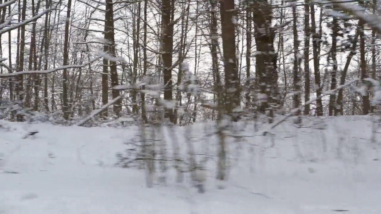 开车穿过白雪覆盖的森林。冰雪覆盖的松林路上的神奇汽车之旅。前视图从汽车乘客窗口。冬季北欧乡村景观。旅行。寒冷的季节。白雪皑皑的木头。视频素材