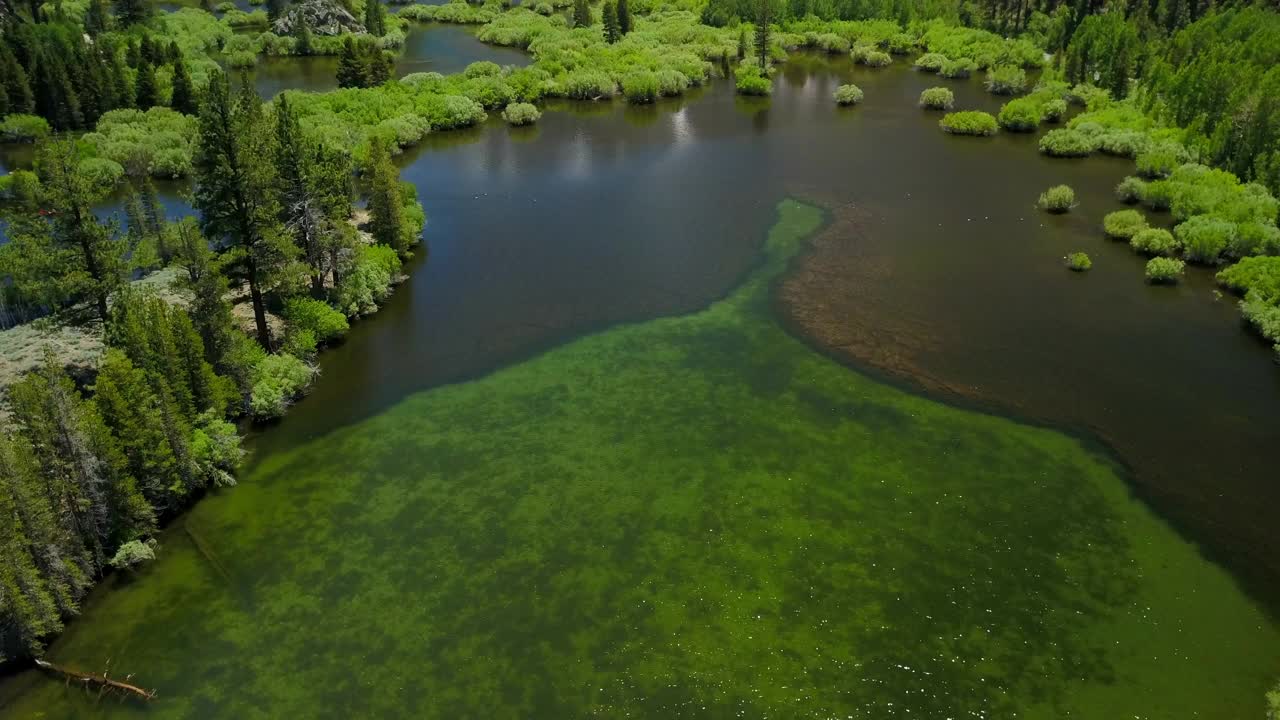 空中倾斜拍摄的湖泊在青山附近的树木，无人机向后飞越自然景观对天空-猛犸湖，加利福尼亚视频素材