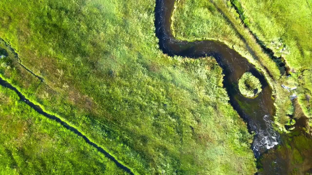 从空中俯瞰，河流在绿色植物和马之间流动，无人机在景观上向前飞行-猛犸湖，加利福尼亚州视频素材