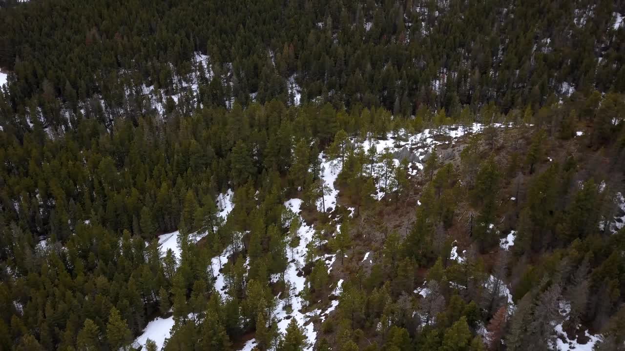 空中平移拍摄的绿色树木在山上的雪，无人机飞越森林在冬季-比林斯，蒙大拿州视频素材